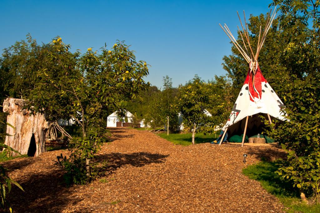 צ'יצ'סטר Plush Tents Yurt Village מראה חיצוני תמונה