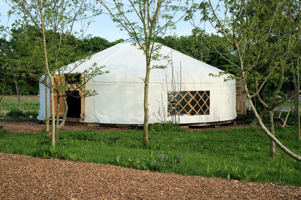 צ'יצ'סטר Plush Tents Yurt Village מראה חיצוני תמונה