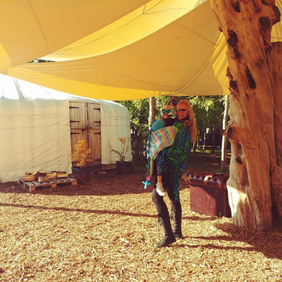 צ'יצ'סטר Plush Tents Yurt Village מראה חיצוני תמונה