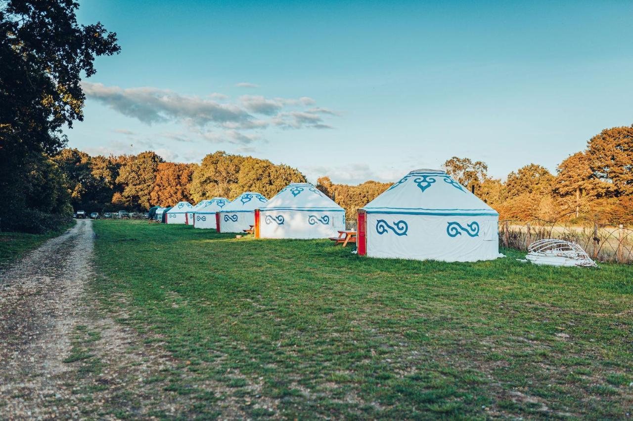 צ'יצ'סטר Plush Tents Yurt Village מראה חיצוני תמונה